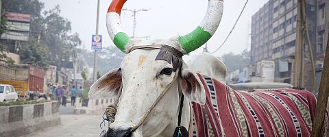 Delhi
